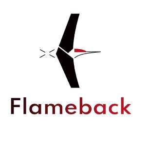 Flameback